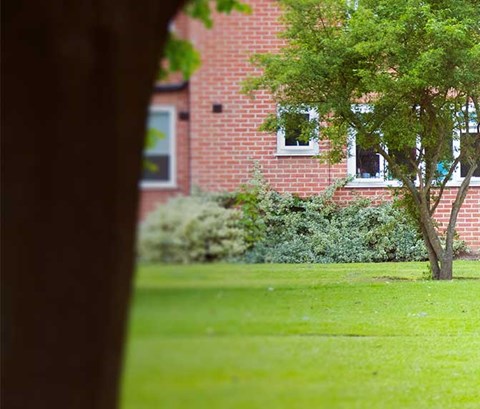 students playing outside an accomodation block